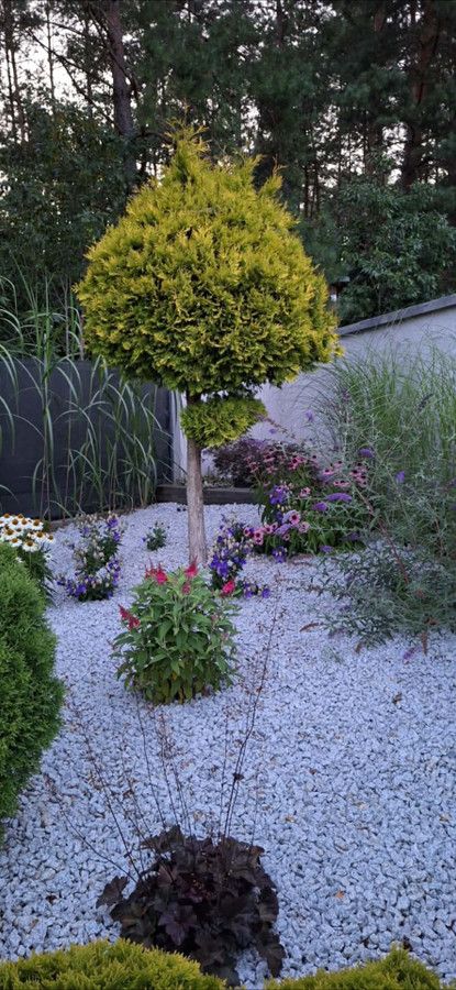 dom wolnostojący, 5 pokoi Lewiczyn. Zdjęcie 21