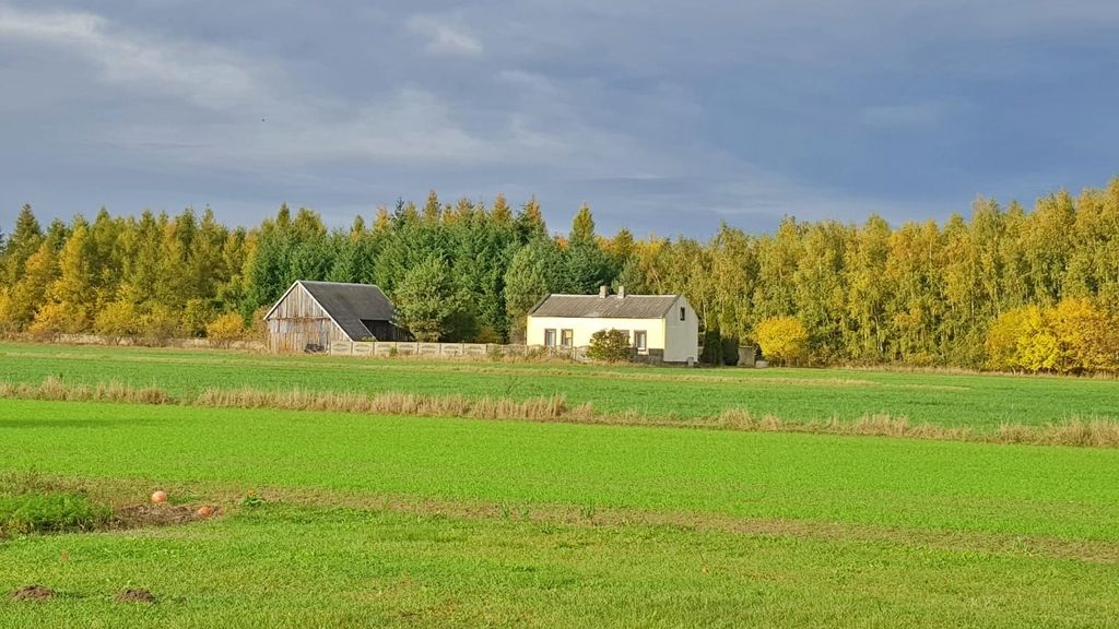Działka budowlana Przedecz. Zdjęcie 4