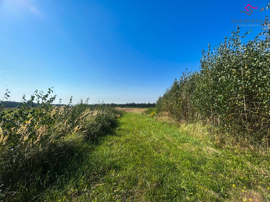 Działka budowlana Wysocko Wielkie, ul. Jesionowa. Zdjęcie 9