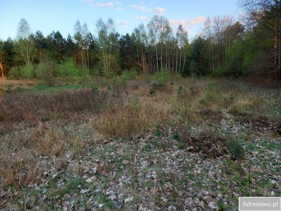 Działka inwestycyjna Kąty Czernickie. Zdjęcie 7