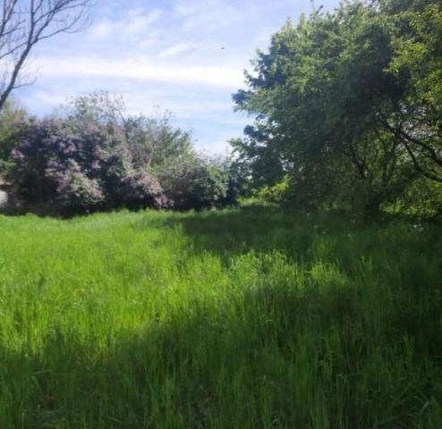 Działka budowlana Siemień, ul. Spacerowa. Zdjęcie 1