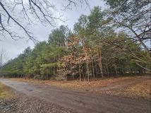 Działka budowlana Rudnik Wielki, ul. Sosnowa. Zdjęcie 3