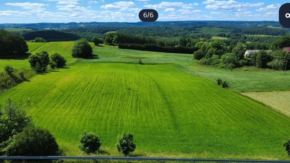 Działka siedliskowa Sidory. Zdjęcie 7