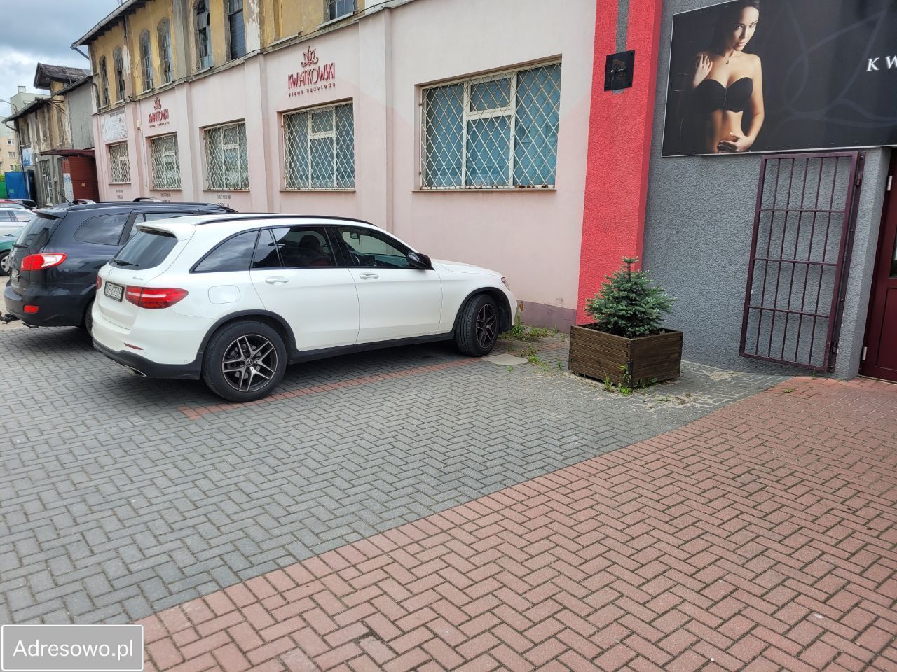 Lokal Elbląg. Zdjęcie 4