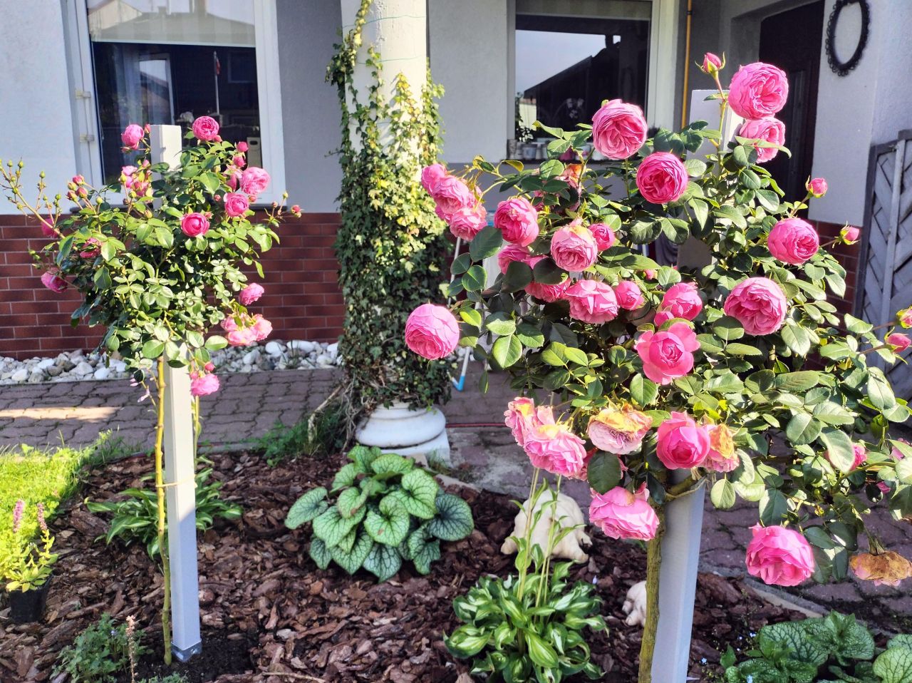 budynek wielorodzinny, 3 pokoje Niekanin, ul. Radosna. Zdjęcie 18