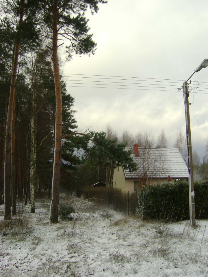 Działka leśna Duninów Duży. Zdjęcie 3