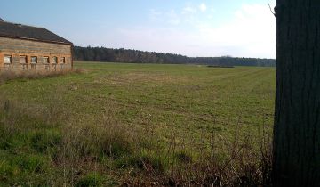 Działka budowlana Skoraszewice