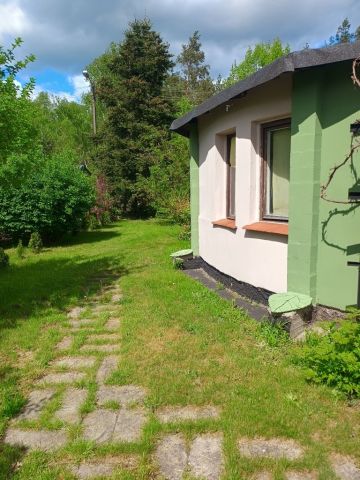 Działka rekreacyjna Nowe Dąbie. Zdjęcie 1