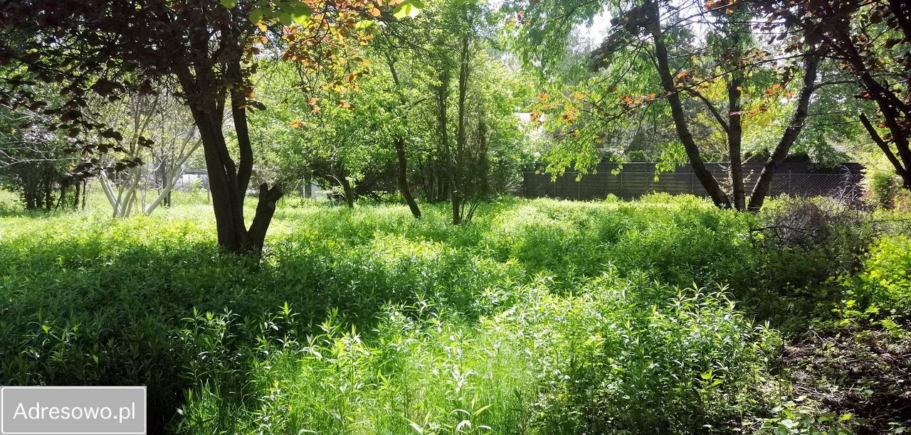 Działka inwestycyjna Warszawa Wawer, ul. Kminkowa. Zdjęcie 13