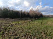 Działka rekreacyjna Lubowidz, ul. Leśna. Zdjęcie 4