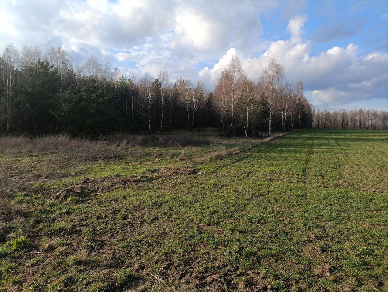 Działka rekreacyjna Lubowidz, ul. Leśna. Zdjęcie 5