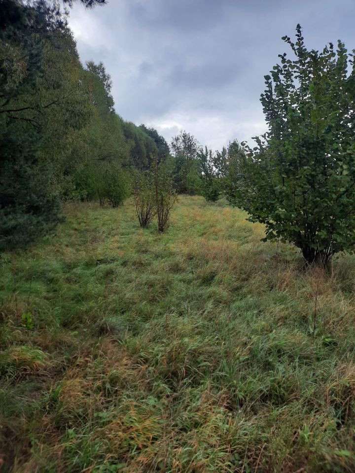 Działka budowlana Potaśnia, ul. Gruszowa. Zdjęcie 6