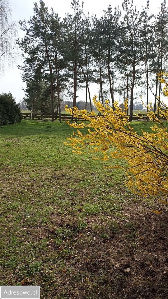 dom wolnostojący, 5 pokoi Łącznica. Zdjęcie 8