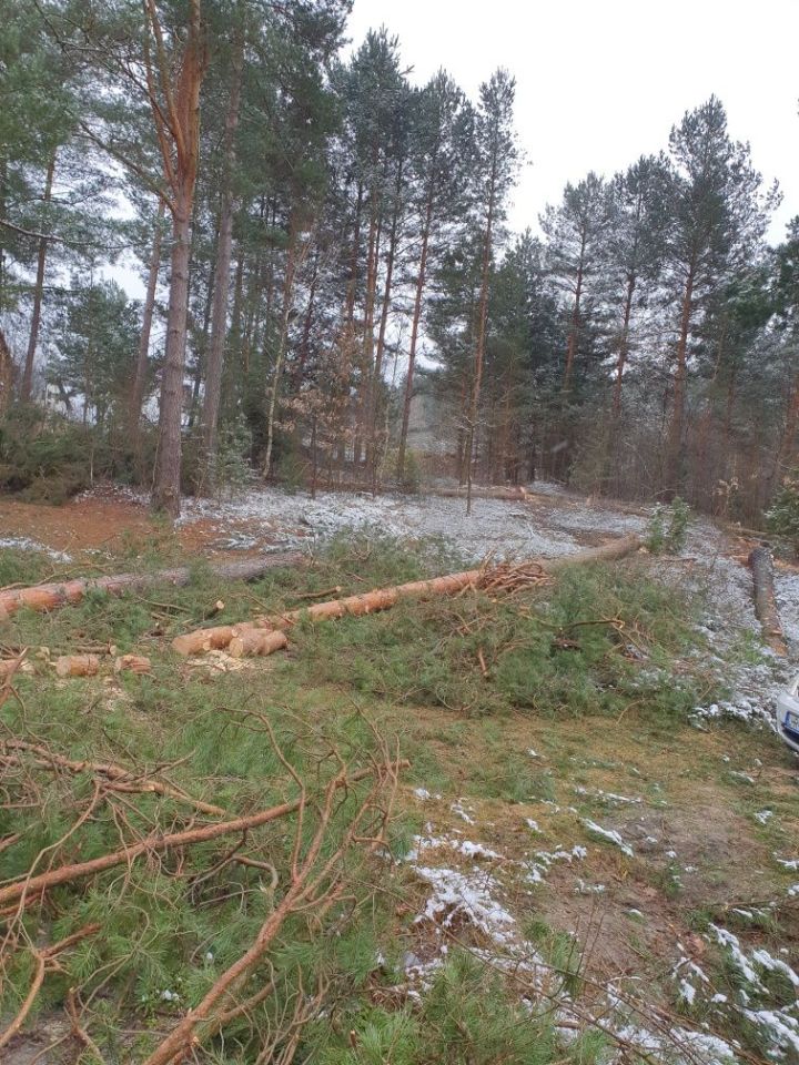 Działka rekreacyjna Nowiny. Zdjęcie 7