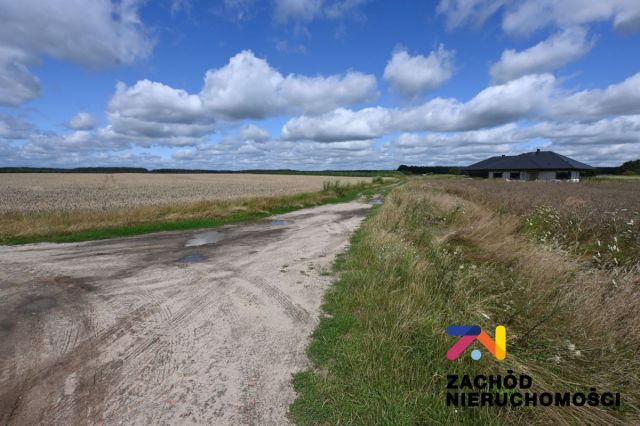 Działka budowlana Niedoradz. Zdjęcie 4