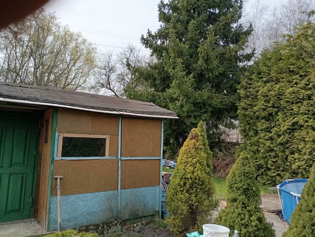 Działka rod Zduńska Wola, ul. Grzybowa. Zdjęcie 5