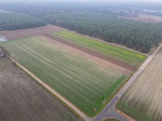 Działka budowlana Rososzyca. Zdjęcie 1