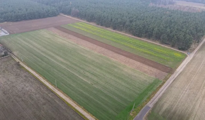 Działka budowlana Rososzyca
