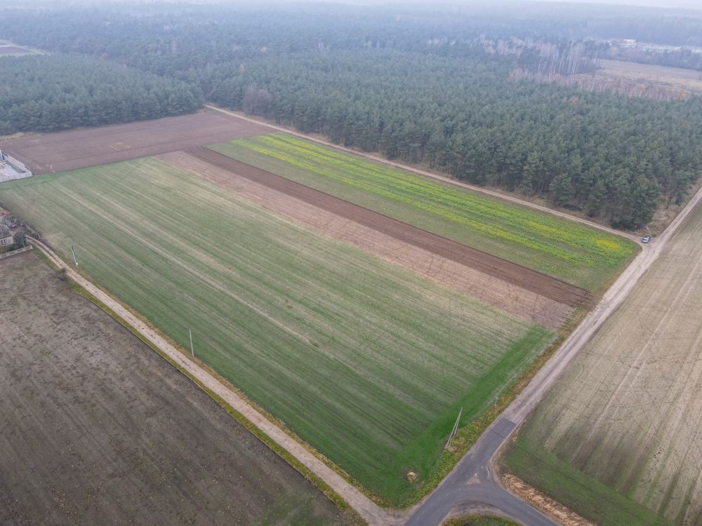 Działka budowlana Rososzyca. Zdjęcie 1