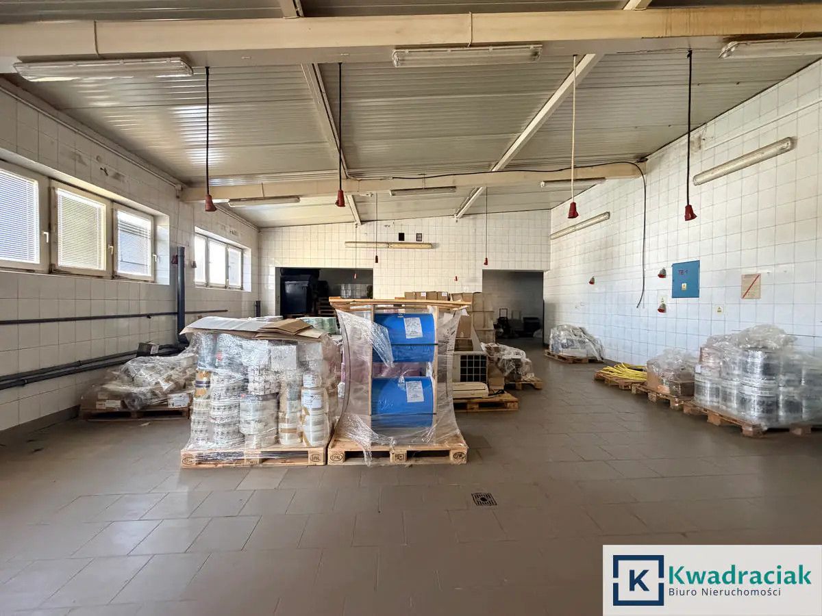 Lokal Krajowice. Zdjęcie 15