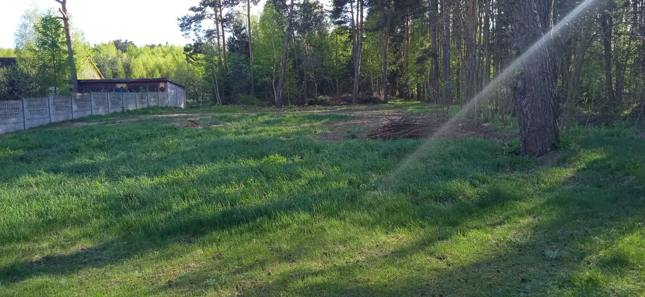 Działka Błędnica. Zdjęcie 3