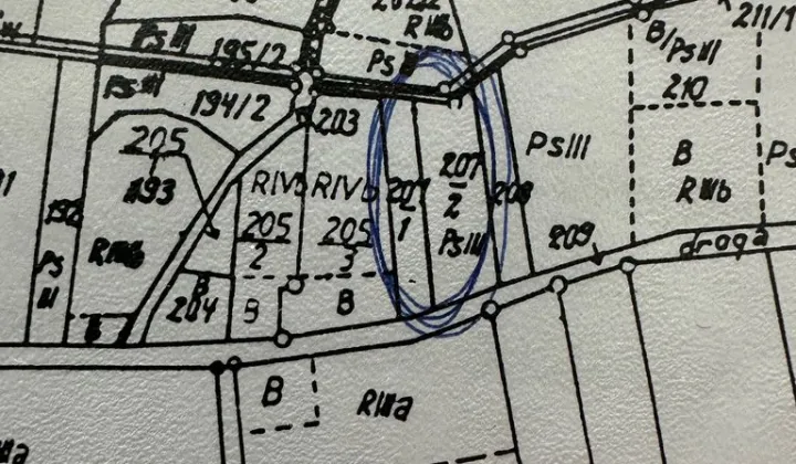 Działka rolna Rojęczyn