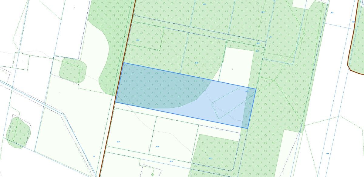 Działka rolno-budowlana Pelagia. Zdjęcie 2