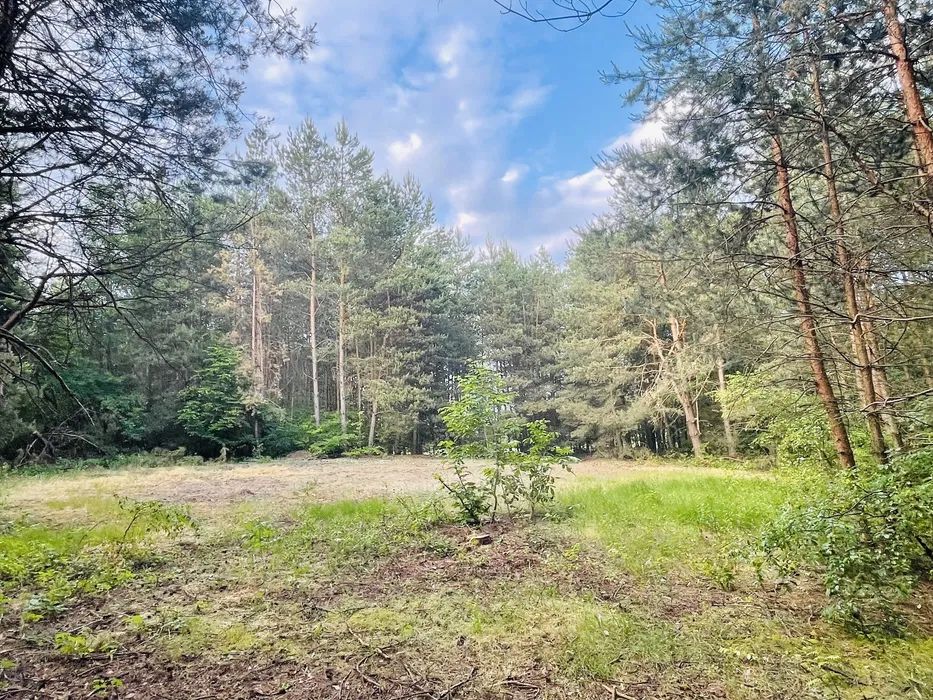 Działka budowlana Anielin. Zdjęcie 2