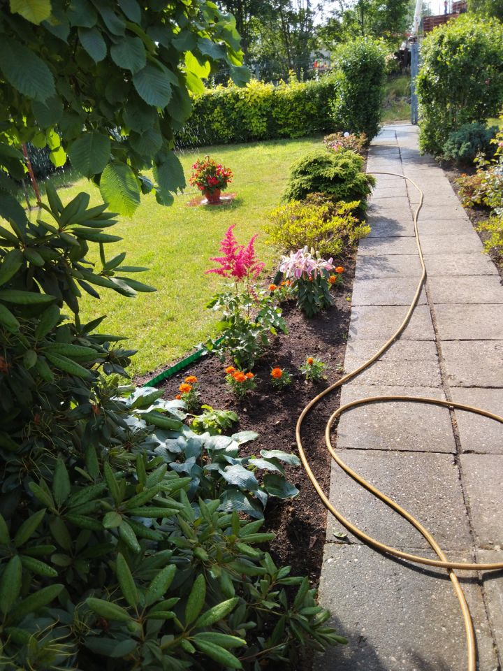 Działka rekreacyjna Katowice Ligota, ul. Zadole. Zdjęcie 14