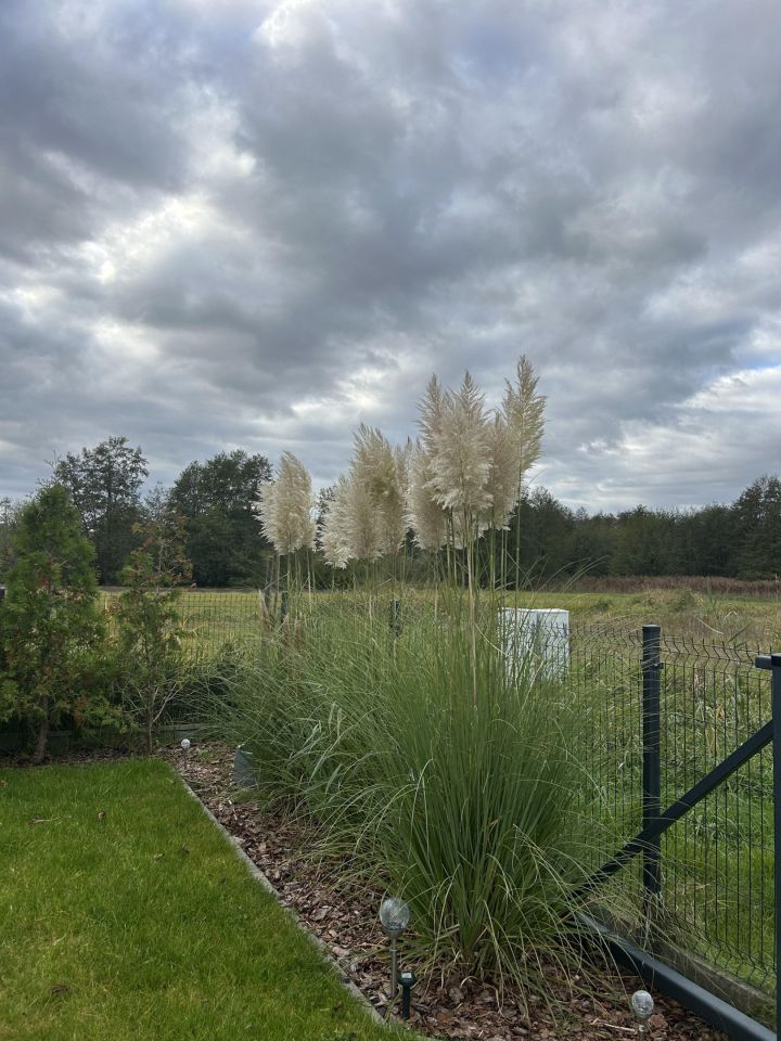 dom letniskowy, 3 pokoje Boszkowo-Letnisko, ul. Piaskowa. Zdjęcie 10