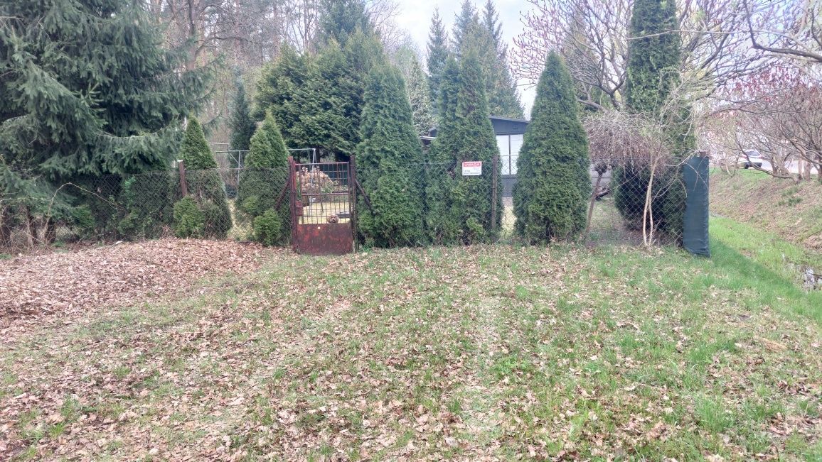 Działka rod Żyrardów, ul. Wypoczynkowa. Zdjęcie 6