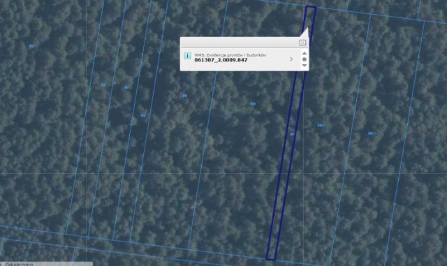 Działka leśna Nowy Orzechów. Zdjęcie 1