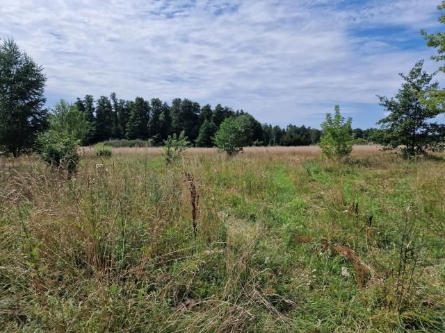 Działka rolna Nasielsk. Zdjęcie 3