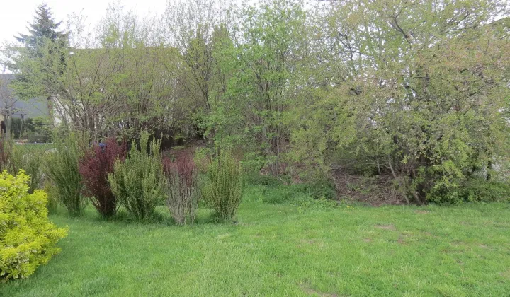 Działka budowlana Janki, ul. Wspólna