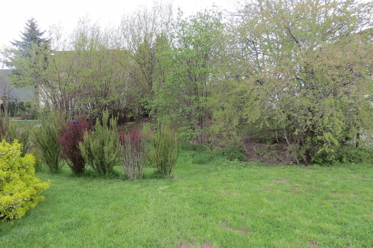 Działka budowlana Janki, ul. Wspólna. Zdjęcie 1