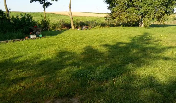 Działka siedliskowa Łukaszewo, Brak