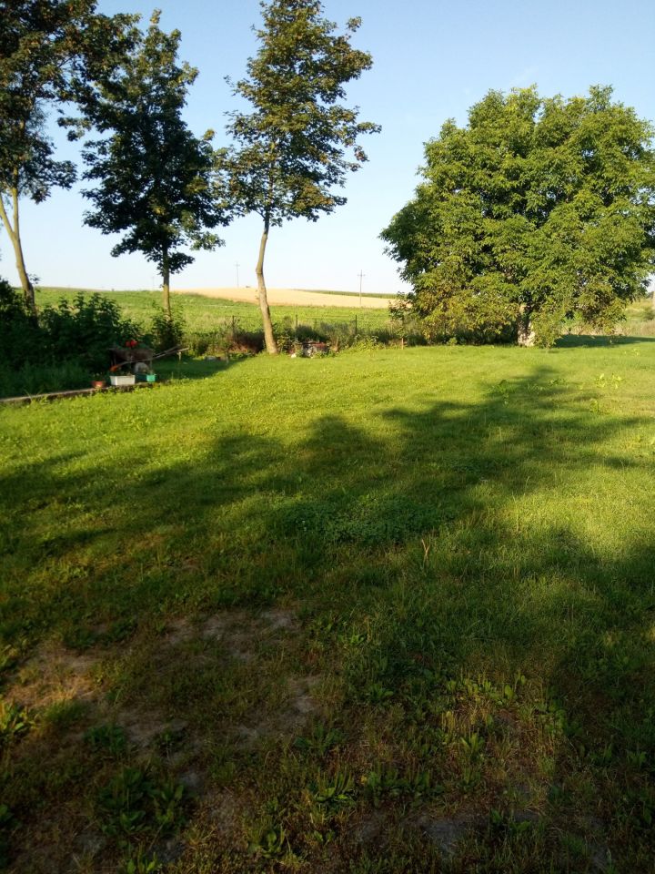 Działka siedliskowa Łukaszewo, Brak. Zdjęcie 1