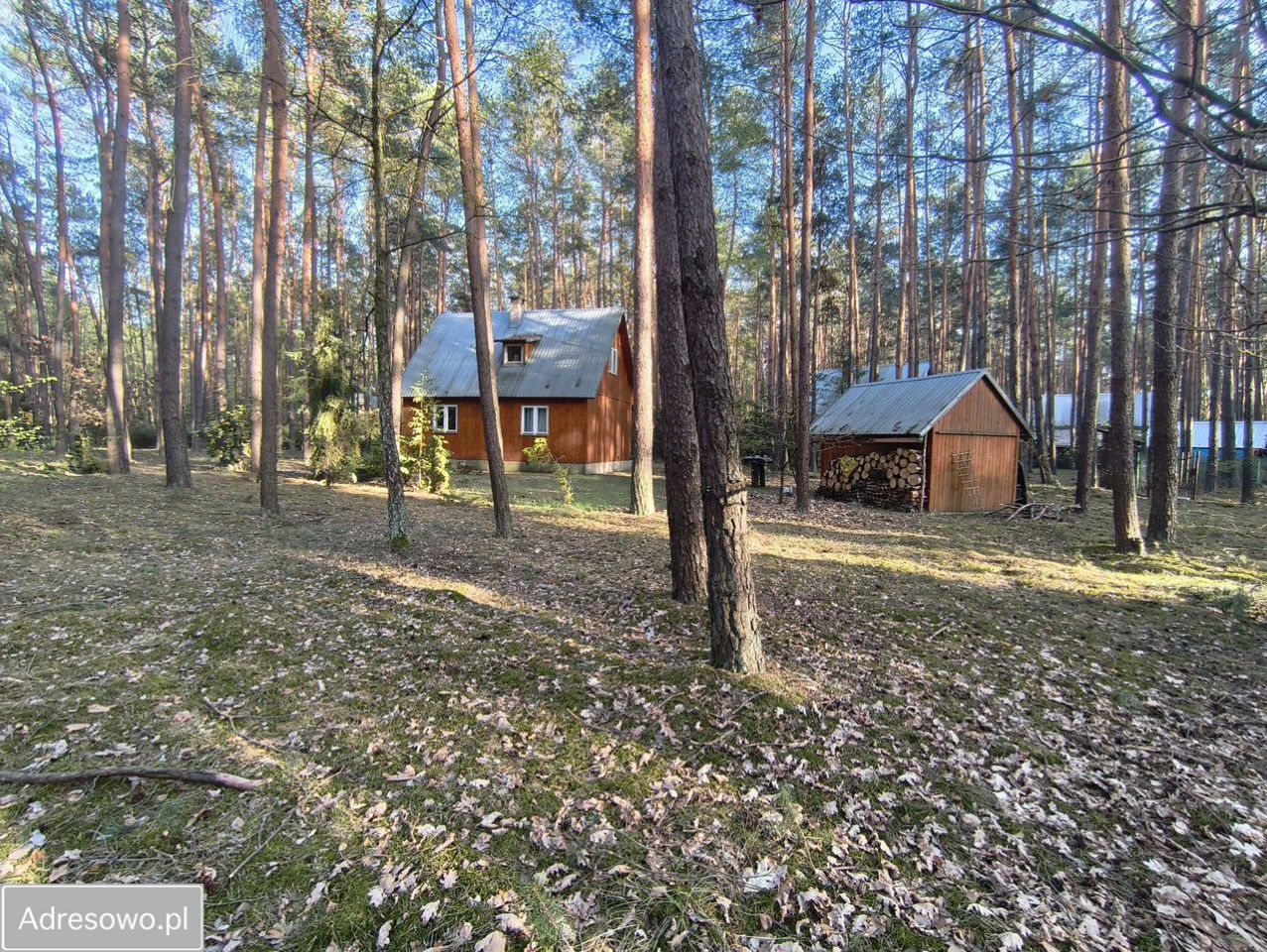 dom letniskowy, 3 pokoje Krajęczyn. Zdjęcie 16