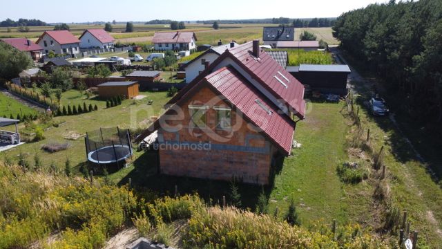 dom wolnostojący, 6 pokoi Zimnica. Zdjęcie 8