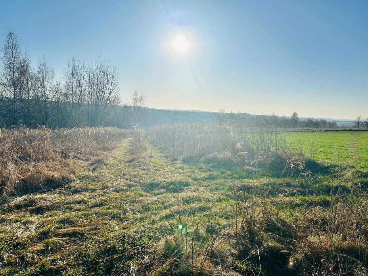 Działka rolna Biały Kościół. Zdjęcie 3