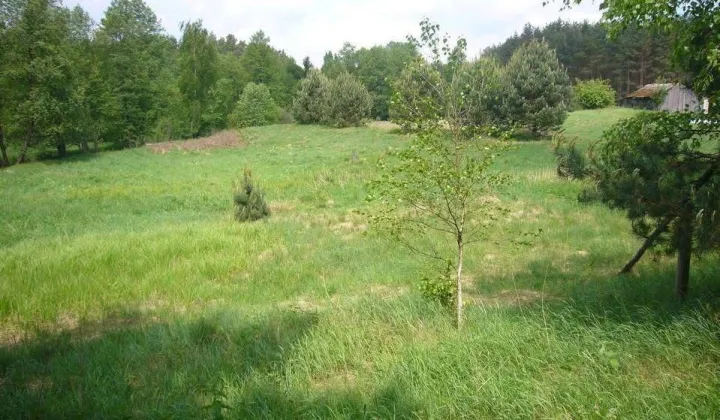 Działka budowlana Przechlewko