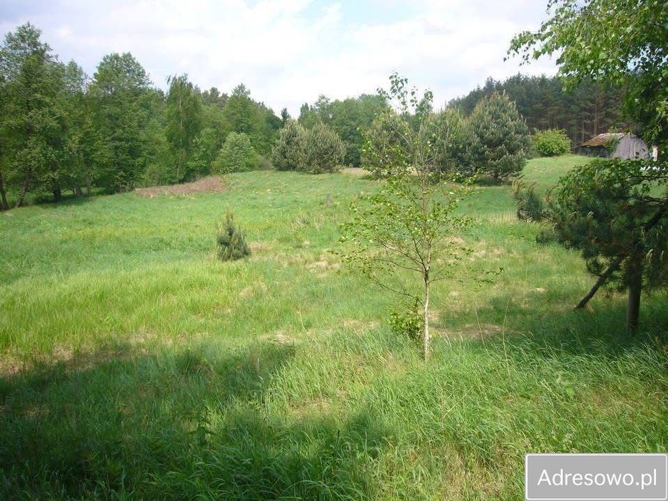 Działka budowlana Przechlewko