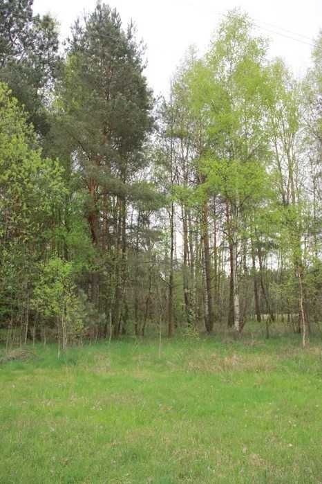 Działka budowlana Przybyszowy. Zdjęcie 2