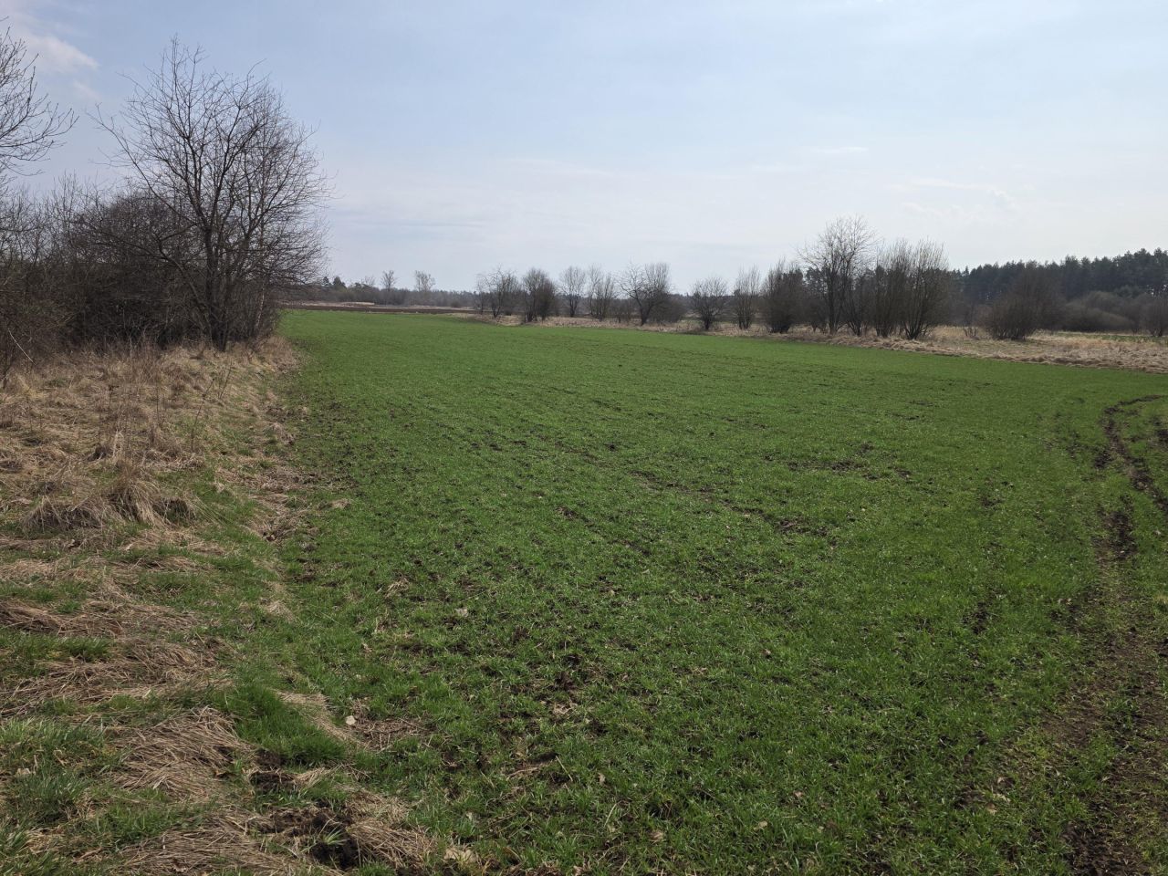 Działka rolna Wolica. Zdjęcie 3