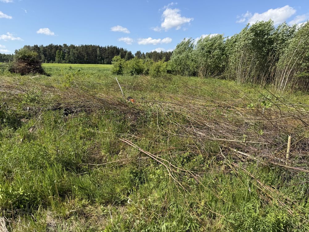 Działka budowlana Tomaszkowo, ul. Wilcza. Zdjęcie 7
