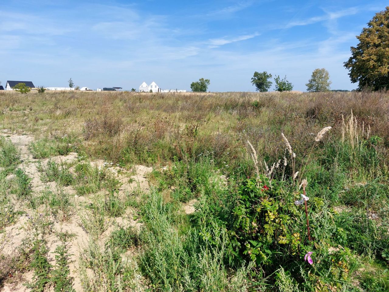 Działka budowlana Witkowo Pierwsze. Zdjęcie 7