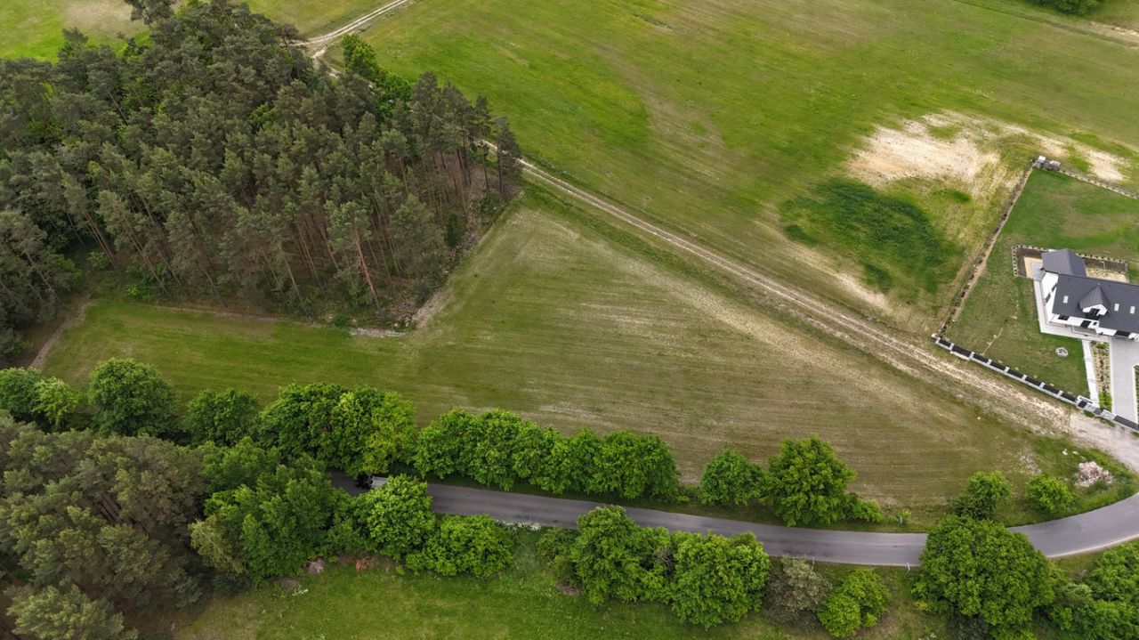 Działka rolno-budowlana Grabowiec. Zdjęcie 9