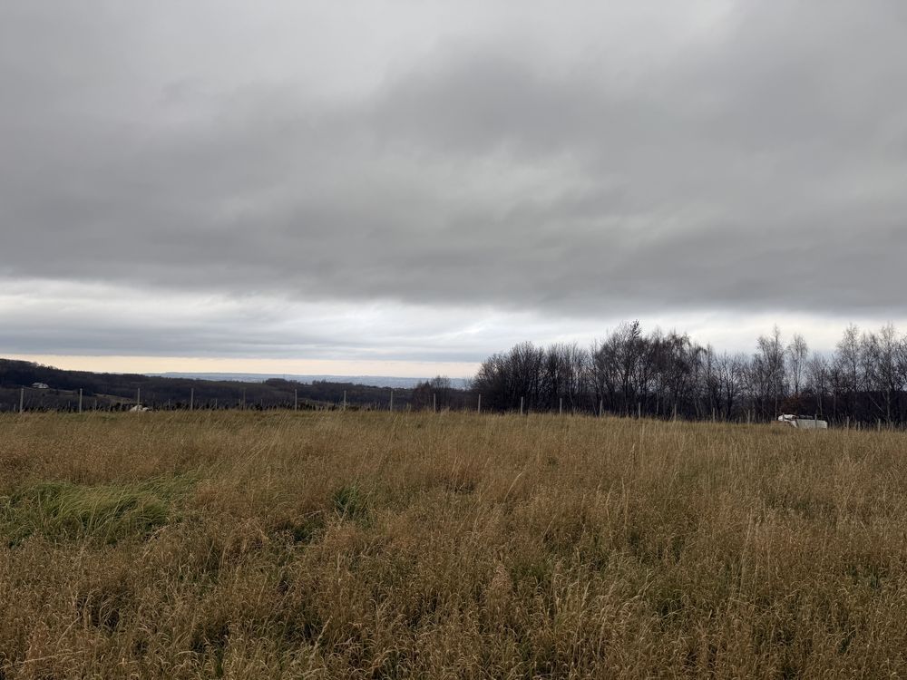 Działka rolno-budowlana Hermanowa. Zdjęcie 4