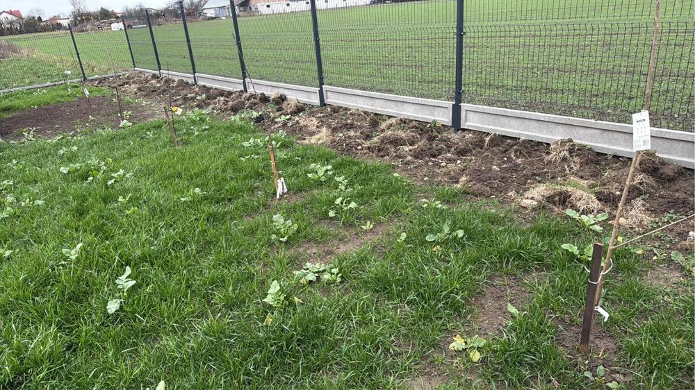 Działka budowlana Chrzanówek, ul. Diamentowa. Zdjęcie 6