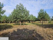 Działka budowlana Miedniewice. Zdjęcie 3